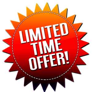 Limited Time Offer Management Consulting Worldwide